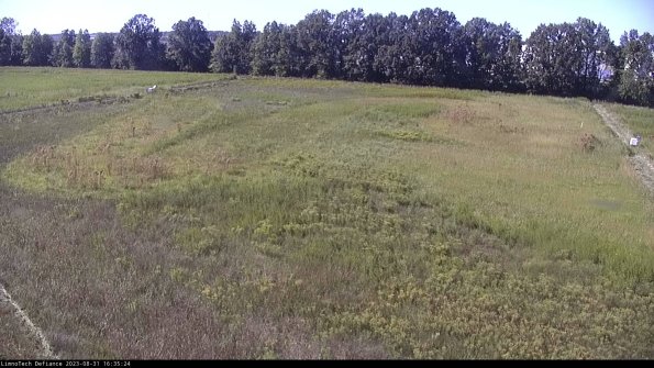 Cell 3_23-08-31_16-35-24-90