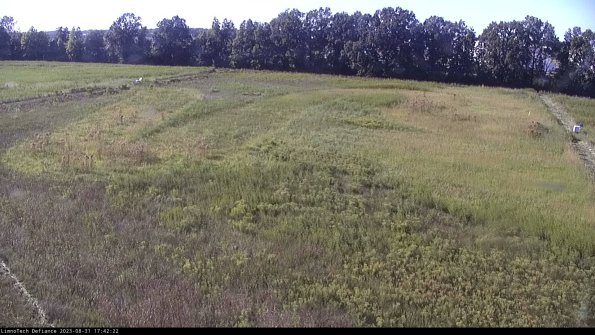 Cell 3_23-08-31_17-42-23-11