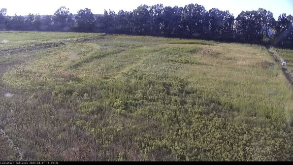 Cell 3_23-08-31_18-49-22-88