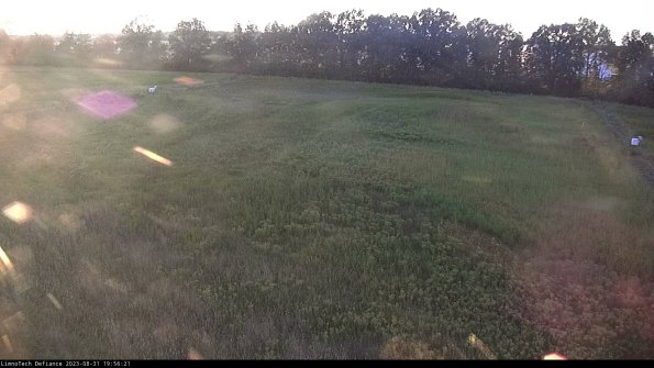 Cell 3_23-08-31_19-56-21-89