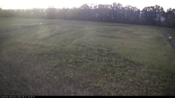 Cell 3_23-08-31_20-29-51-88