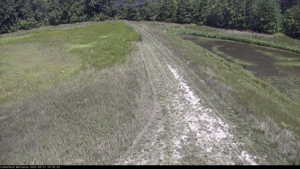 Cell 4 to Basin_23-08-31_14-55-52-87