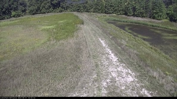 Cell 4 to Basin_23-08-31_16-02-52-87