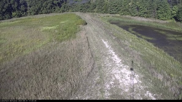 Cell 4 to Basin_23-08-31_17-43-20-87