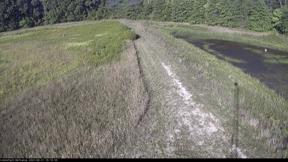 Cell 4 to Basin_23-08-31_18-16-50-89