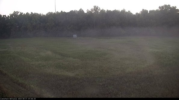 Cell 4_23-08-31_07-06-26-86