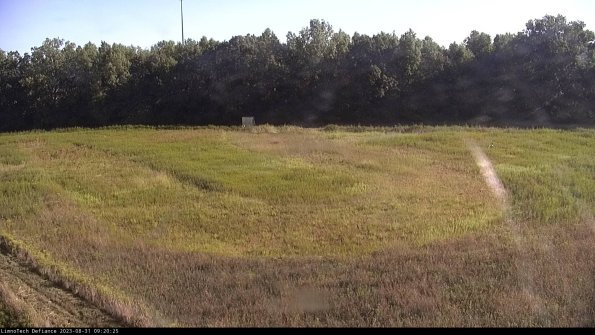 Cell 4_23-08-31_09-20-25-90