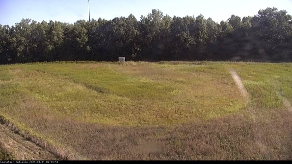 Cell 4_23-08-31_09-53-55-89