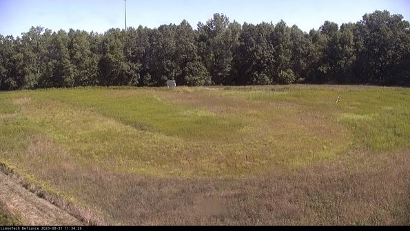 Cell 4_23-08-31_11-34-26-88