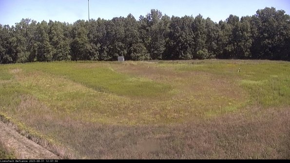 Cell 4_23-08-31_12-07-56-87