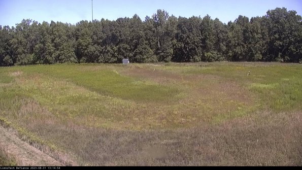 Cell 4_23-08-31_13-14-54-88