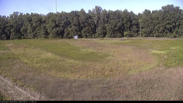 Cell 4_23-08-31_17-09-21-88