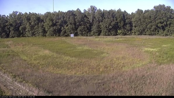 Cell 4_23-08-31_17-42-50-87