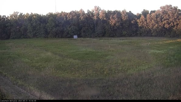 Cell 4_23-08-31_19-56-49-89