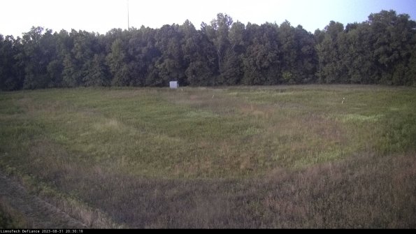 Cell 4_23-08-31_20-30-19-87