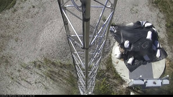 Hatch_23-08-31_11-02-36-86