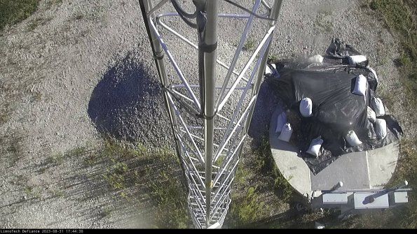 Hatch_23-08-31_17-44-30-87