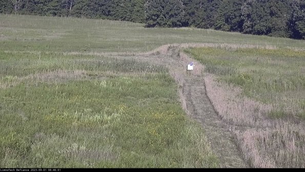 Cell 1 to 2_23-09-01_08-46-01-89