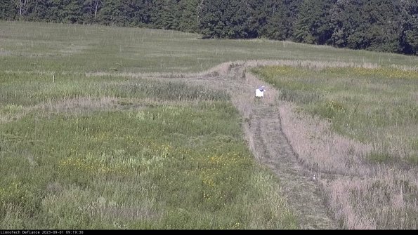 Cell 1 to 2_23-09-01_09-19-30-88