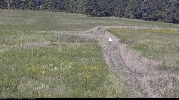 Cell 1 to 2_23-09-01_09-53-00-86