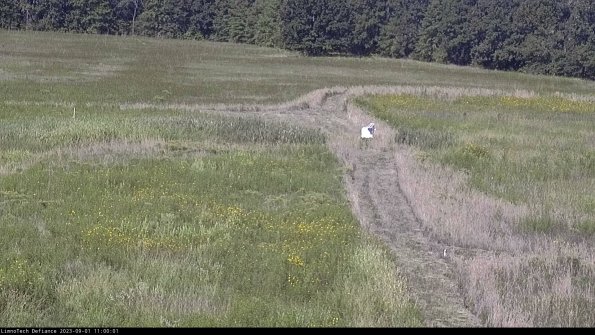 Cell 1 to 2_23-09-01_11-00-01-91