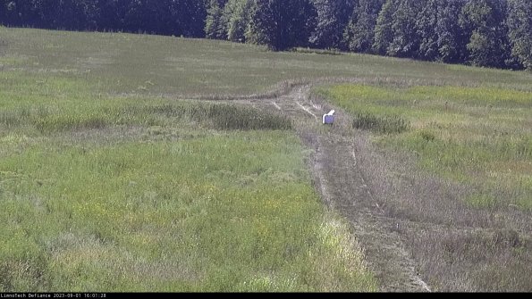 Cell 1 to 2_23-09-01_16-01-28-88