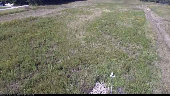 Cell 1_23-09-01_09-52-46-88