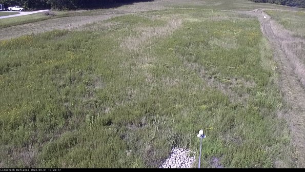 Cell 1_23-09-01_10-26-17-87