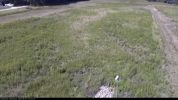 Cell 1_23-09-01_10-59-47-89