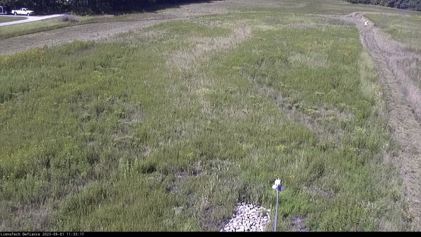 Cell 1_23-09-01_11-33-17-88