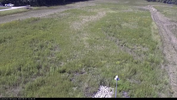 Cell 1_23-09-01_12-06-45-87