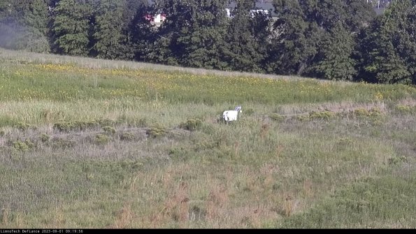 Cell 2 to 3_23-09-01_09-19-57-04