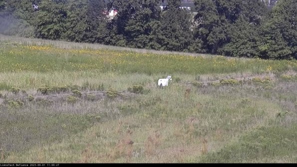 Cell 2 to 3_23-09-01_11-00-27-97