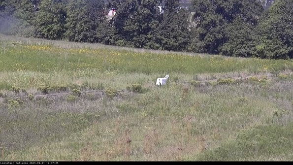 Cell 2 to 3_23-09-01_12-07-26-01