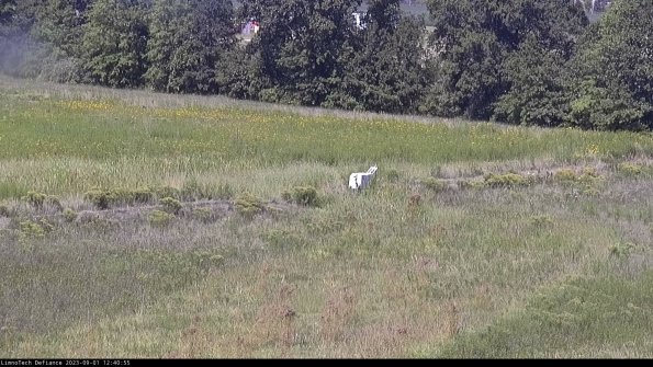 Cell 2 to 3_23-09-01_12-40-55-93