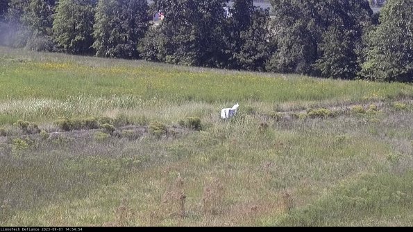 Cell 2 to 3_23-09-01_14-54-54-97