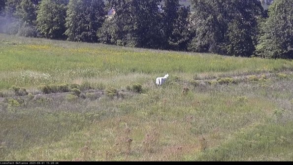 Cell 2 to 3_23-09-01_15-28-24-99