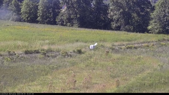 Cell 2 to 3_23-09-01_16-01-55-04