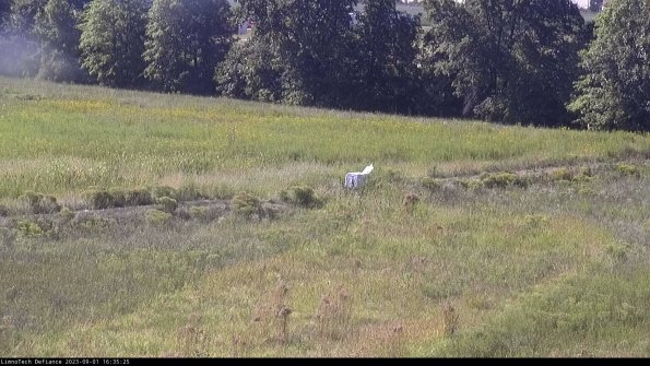 Cell 2 to 3_23-09-01_16-35-26-13