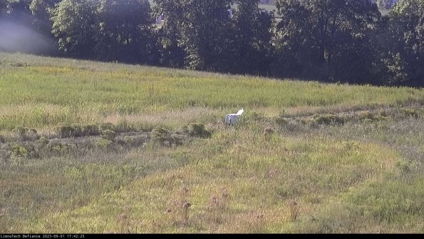 Cell 2 to 3_23-09-01_17-42-26-10