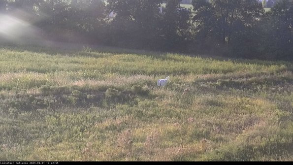 Cell 2 to 3_23-09-01_19-22-56-09