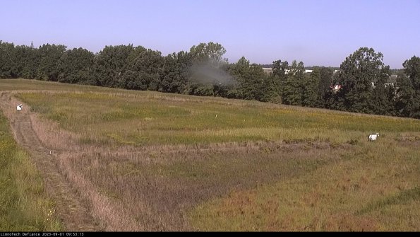 Cell 2_23-09-01_09-53-13-91