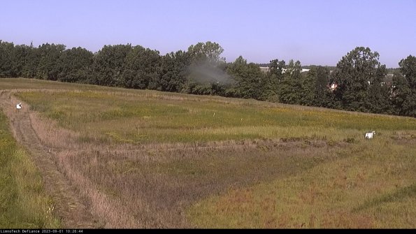 Cell 2_23-09-01_10-26-44-93