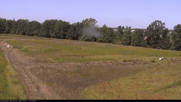 Cell 2_23-09-01_12-40-42-91