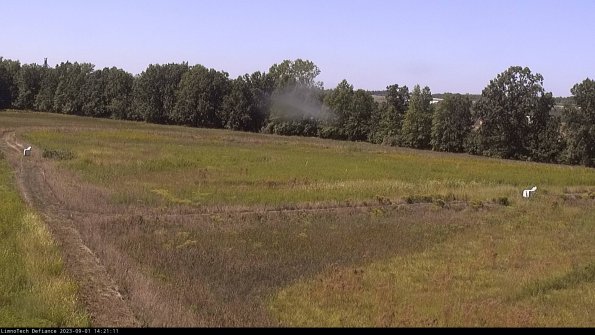 Cell 2_23-09-01_14-21-11-90