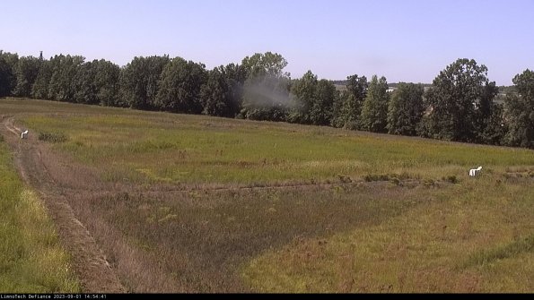 Cell 2_23-09-01_14-54-41-89