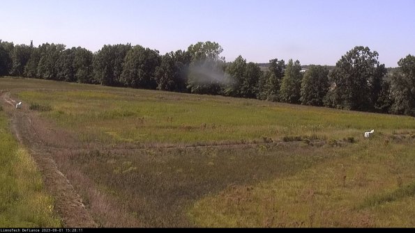 Cell 2_23-09-01_15-28-11-88