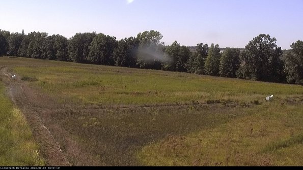 Cell 2_23-09-01_16-01-41-93