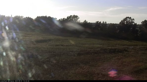 Cell 2_23-09-01_19-22-42-91