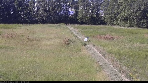 Cell 3 to 4_23-09-01_16-35-54-89